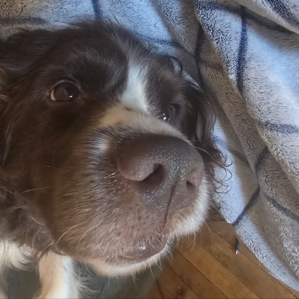 Meet your Posher, Zoe